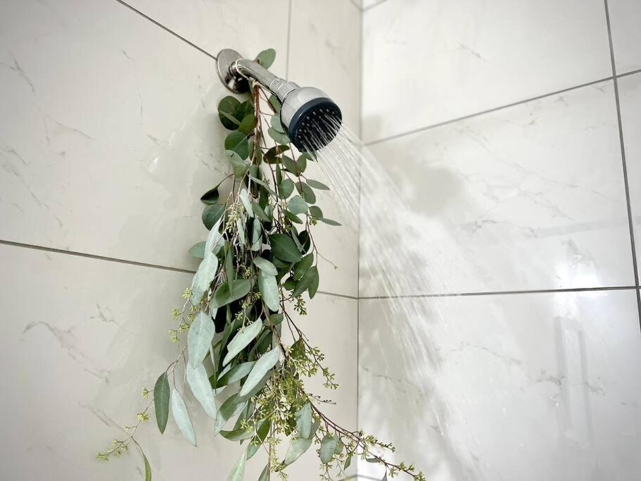 Modern Dc Apartment