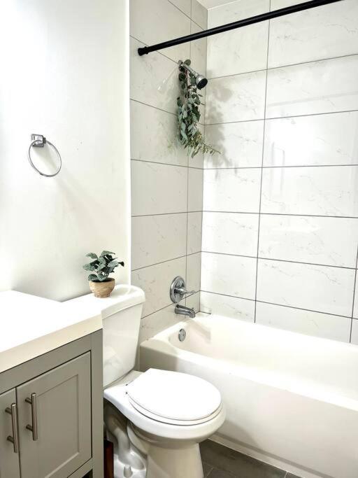 Apartment Modern Dc Washington